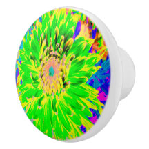 Colorful Lime Green and Yellow Blooming Dahlia
