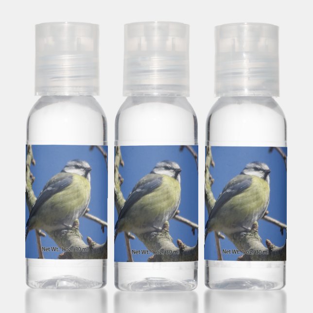 Colorful Little Bird & Blue Sky Travel Bottle Set Hand Sanitizer (Set)