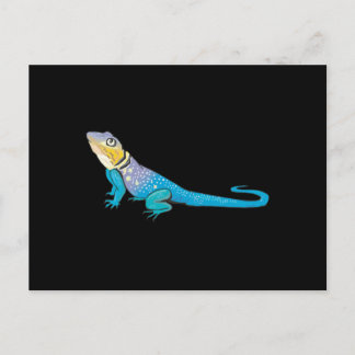 colorful lizard postcard