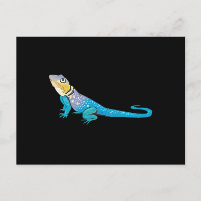 colorful lizard postcard (Front)