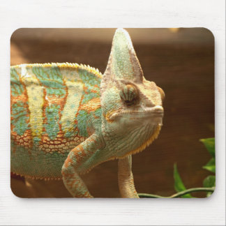 colorful lizzard mouse pad