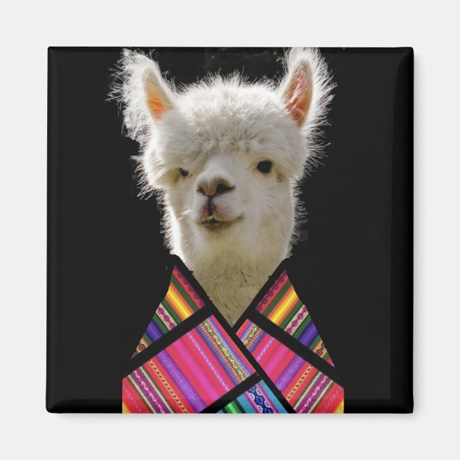 Colorful Llama Magnet (Front)