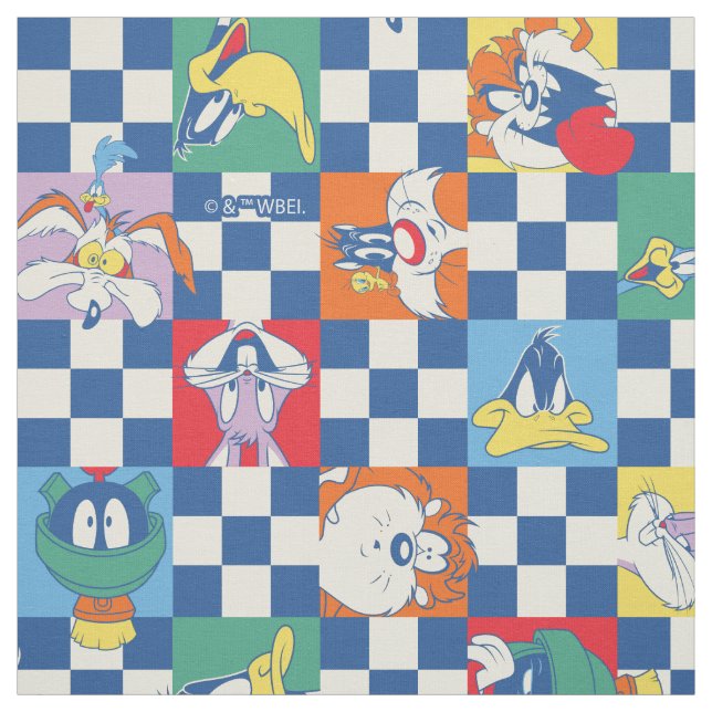 Colorful LOONEY TUNES™ Checker Toss Pattern Fabric (Swatch)