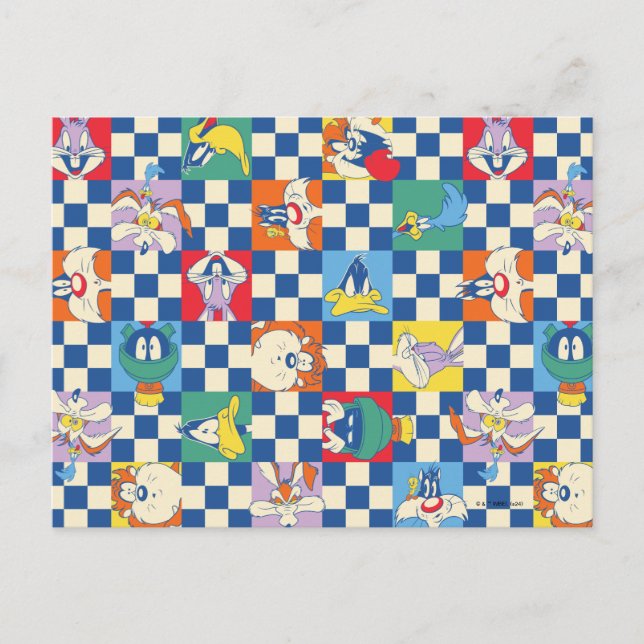 Colorful LOONEY TUNES™ Checker Toss Pattern Postcard (Front)