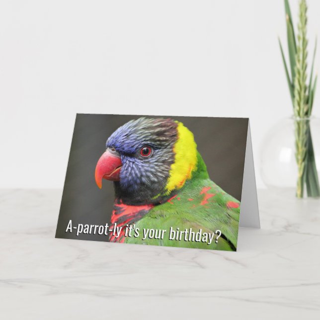 Colorful Lorikeet Birthday Card (Front)