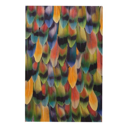 Colorful lovebird parrot feathers wood wall art
