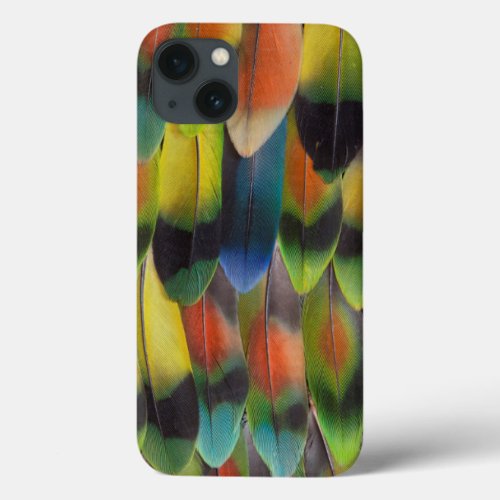 Colorful Lovebird Tail Feathers iPhone 13 Case