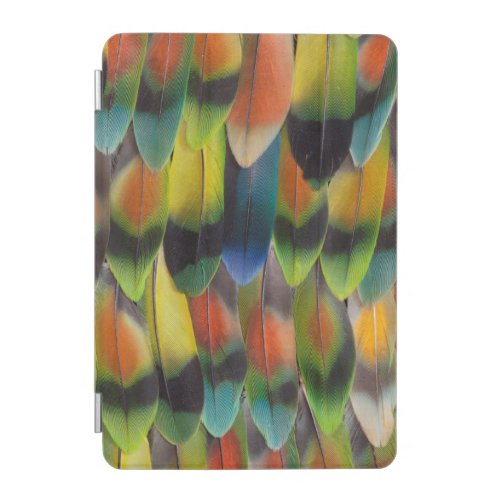 Colorful Lovebird Tail Feathers iPad Mini Cover