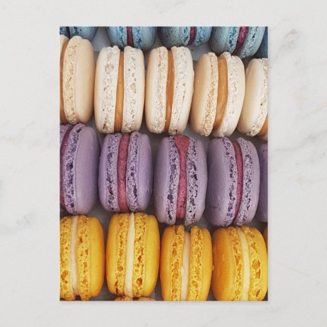 Colorful Macaron Photo Postcard (Front)