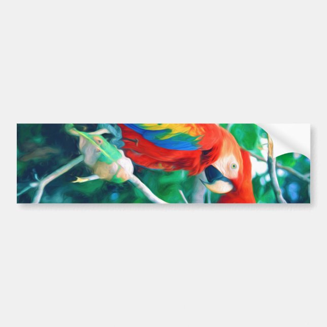 Colorful Macaw Bumper Sticker (Front)