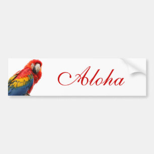 Colorful Macaw Chic Classy Mod Tropical Bumper Sticker