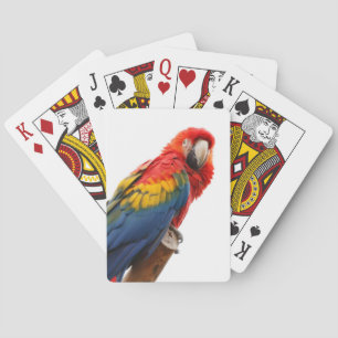 Colorful Macaw Chic Classy Mod Tropical Poker Cards