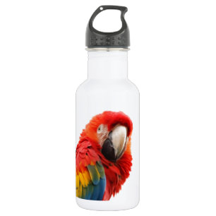 Colorful Macaw Chic Classy Mod Tropical Water Bottle
