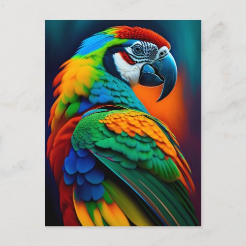 Colorful Macaw Parrot Bird Painting Postcard