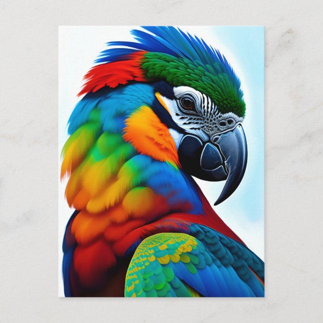 Colorful Macaw Parrot Bird Painting Postcard (Front)