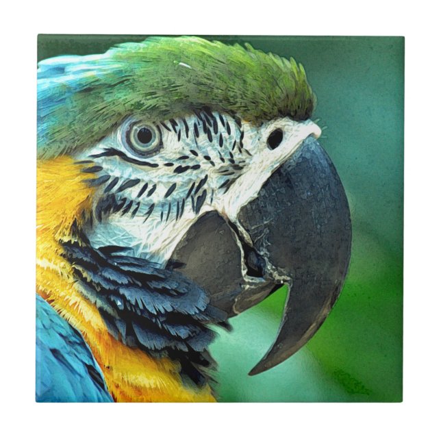 Colorful macaw parrot ceramic tile (Front)
