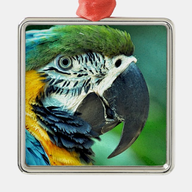 Colorful macaw parrot metal ornament (Front)