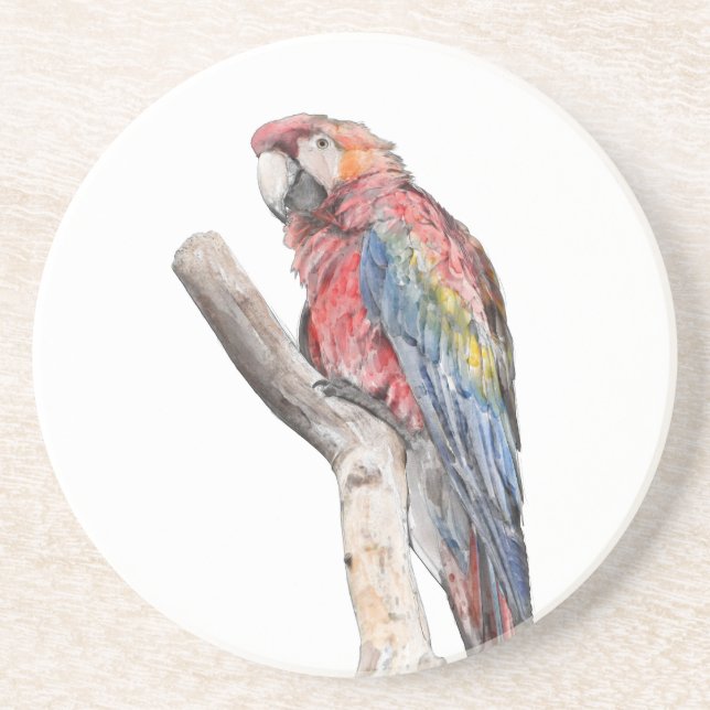 Colorful Macaw Parrot Watercolor Coaster (Front)