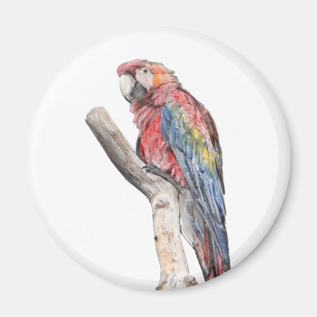 Colorful Macaw Parrot Watercolor Magnet (Front)