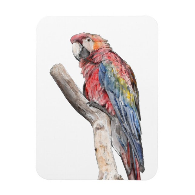 Colorful Macaw Parrot Watercolor Magnet (Vertical)