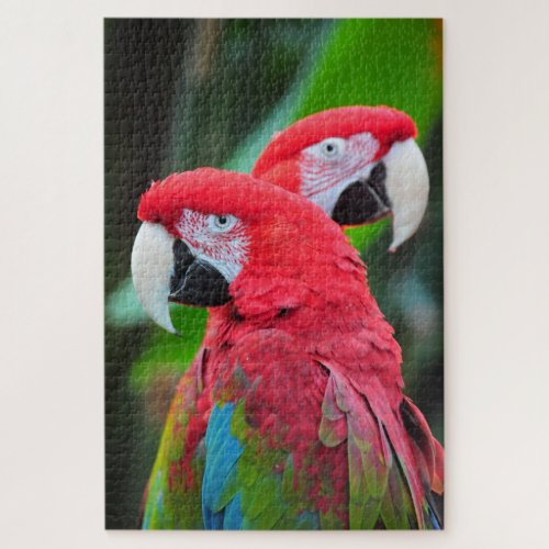 Colorful macaw parrots poster jigsaw puzzle