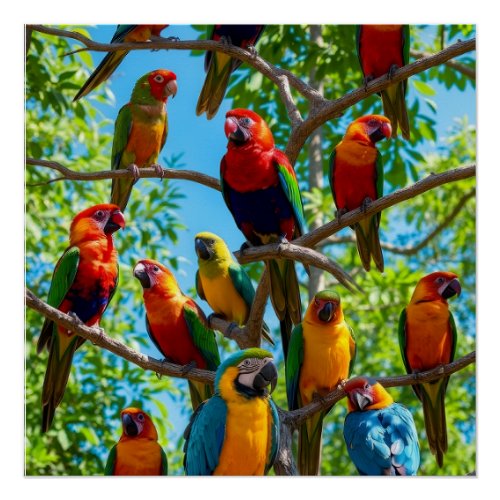 Colorful Macaws And Cockatoos Tropical Rainforest Poster