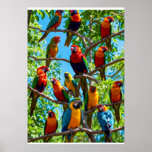 Colorful Macaws And Cockatoos Tropical Rainforest Poster