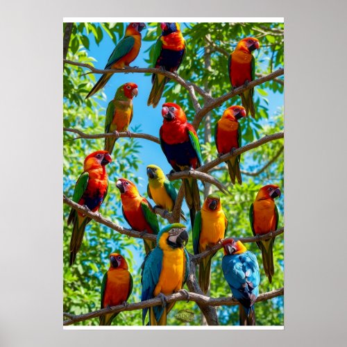 Colorful Macaws And Cockatoos Tropical Rainforest Poster