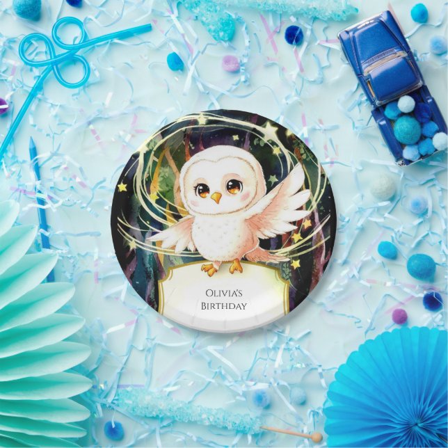 Colorful Magical Owl Birthday Paper Plates (Party)
