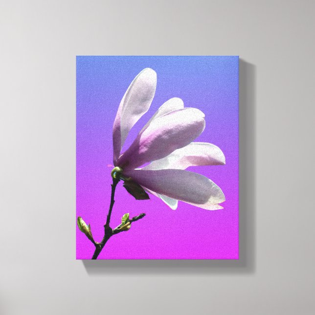 Colorful Magnolia Wrapped Canvas Print (Front)