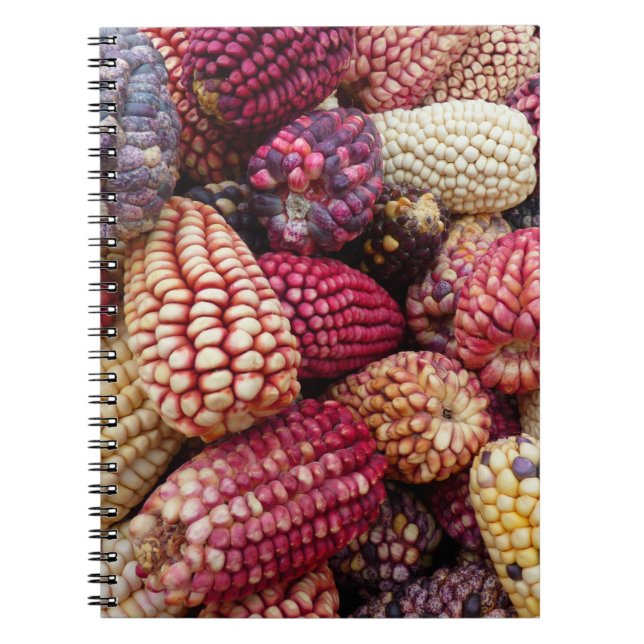 Colorful Maize Notebook (Front)