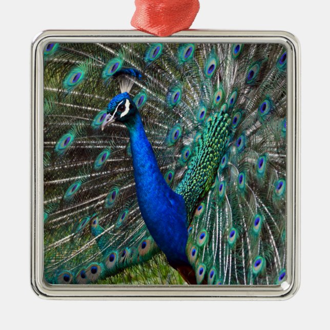 Colorful male peacock metal ornament (Front)