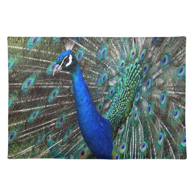 Colorful male peacock placemat (Front)