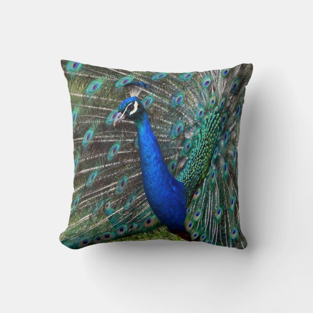 Colorful male peacock throw pillow (Front)