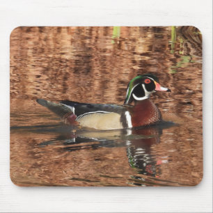 Colorful Male Wood Duck Mouse Pad
