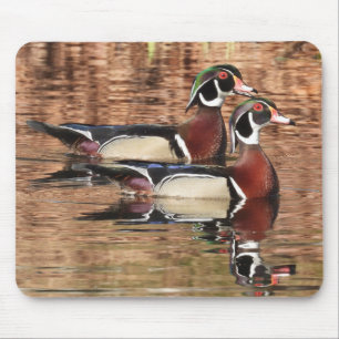 Colorful Male Wood Ducks Mouse Pad