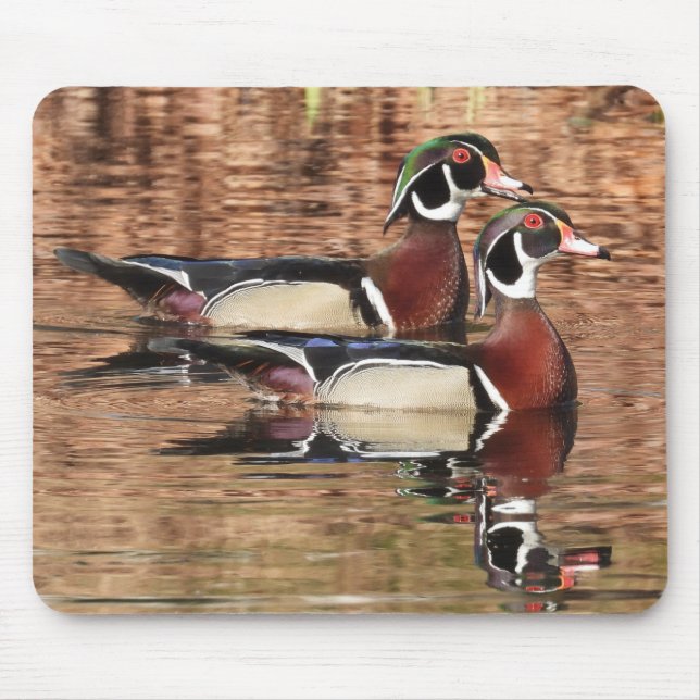 Colorful Male Wood Ducks Mouse Pad (Front)
