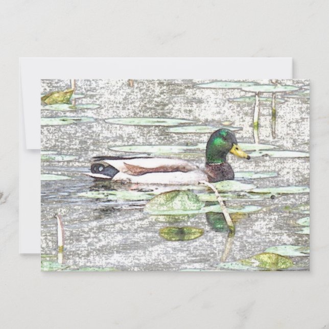 Colorful Mallard duck Art Retirement invitation (Front)