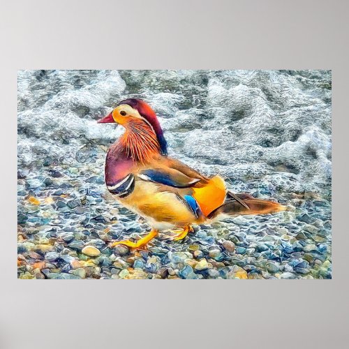 Colorful Mandarin Duck at the Lake Poster
