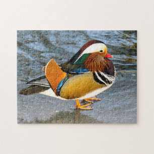 Colorful Mandarin Duck Photo Puzzle