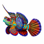 Colorful Mandarin Fish Pin Cutout