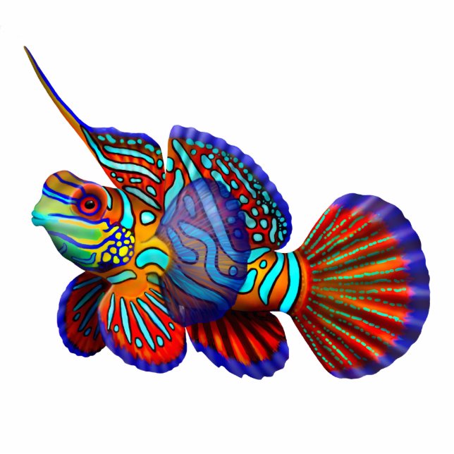 Colorful Mandarin Fish Pin Cutout (Front)