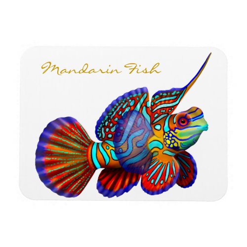 Colorful Mandarin Goby Reef Fish Premium Flexi Mag Magnet