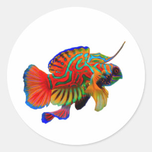 Colorful Mandarinfish Die-Cut Decal - Exotic Reef Classic Round Sticker
