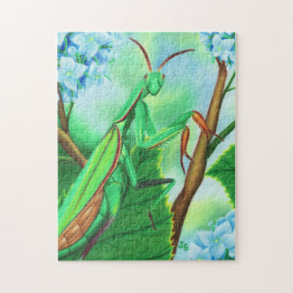 Colorful mantis puzzle
