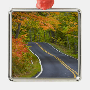 Colorful maple trees in autumn line scenic metal ornament