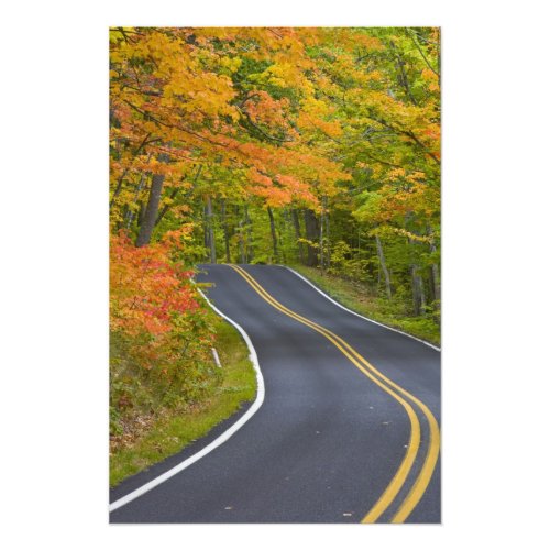 Colorful maple trees in autumn line scenic photo print