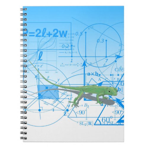 Colorful Math Equations Geometric Designs Lizard Notebook