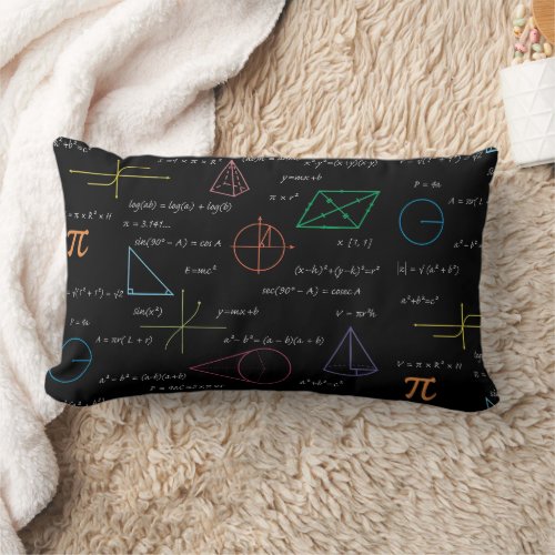 Colorful Mathematics Equations Math Formulas  Lumbar Pillow