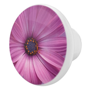 Colorful Medley of African Daisies Flowers Ceramic Knob